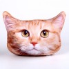 Подушка-антистресс «Рыжий кот»
